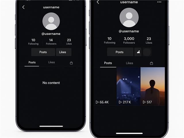 Buy TikTok Followers
